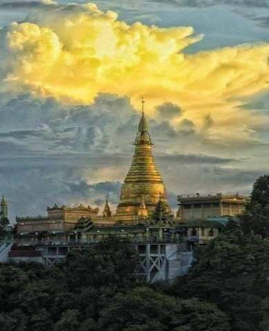 Pagoda View